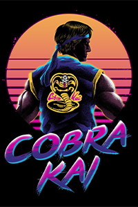 Download Cobra Kai Series (Season 1 – 2) Dual Audio {English} 720p WeB-DL [250MB]
